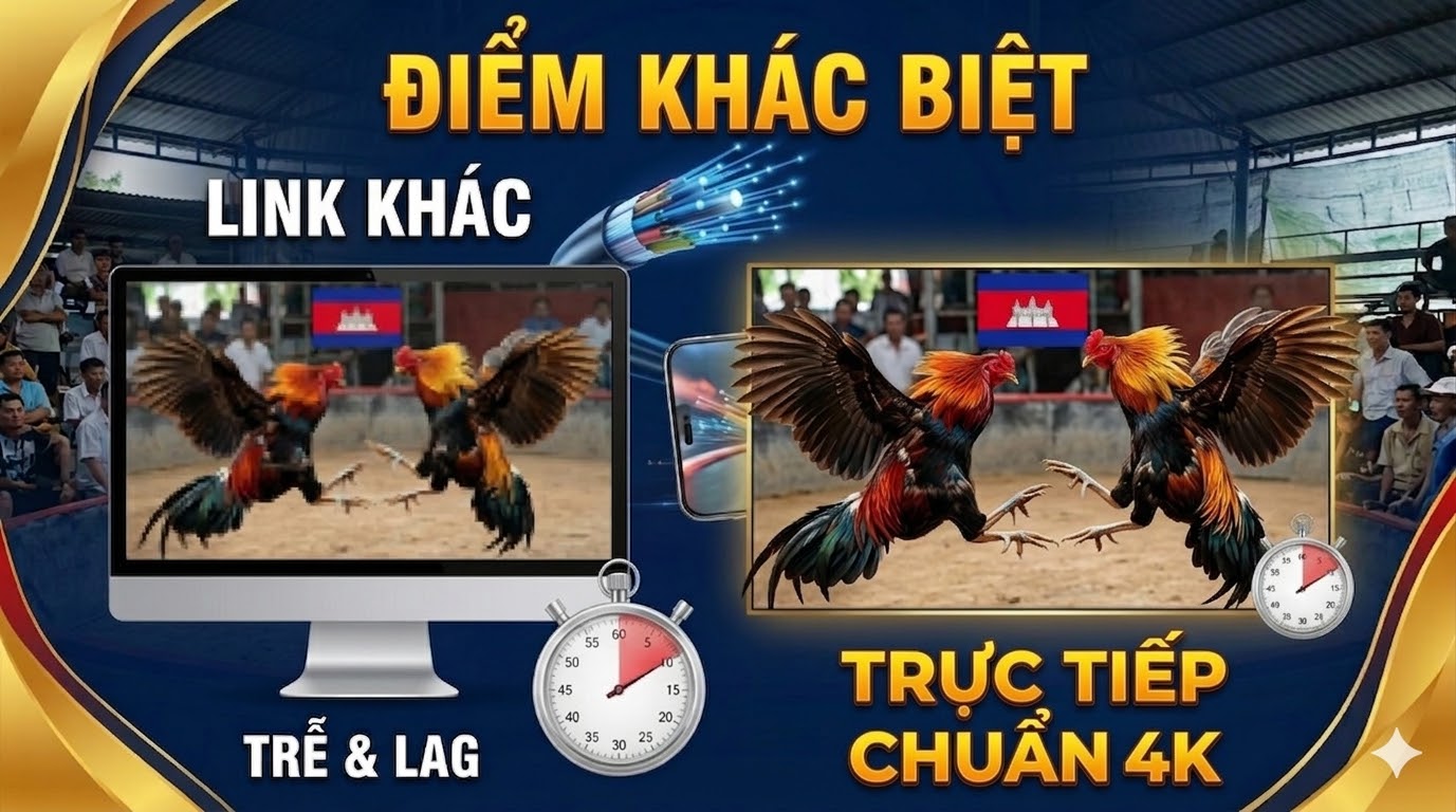 đá gà trực tiếp - congaden