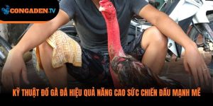 kỹ thuật đổ gà đá