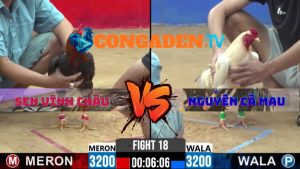 Trận 18 CPC2 27/3/2026