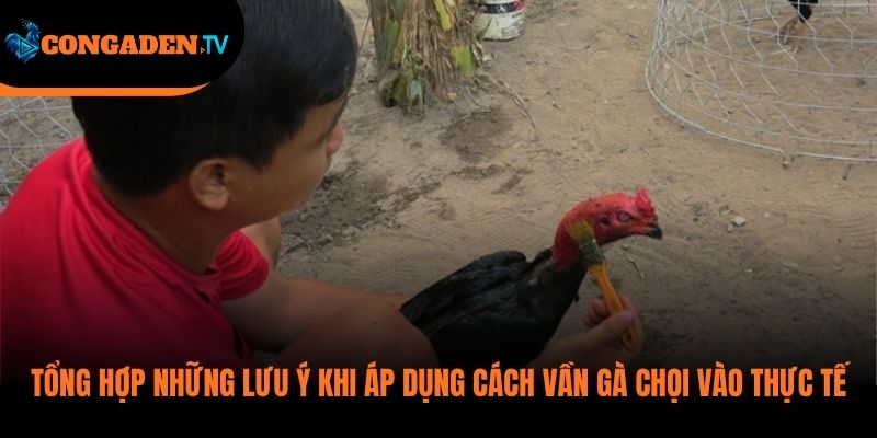 cách vần gà chọi
