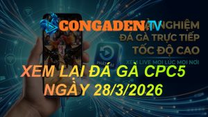 XEM LẠI ĐÁ GÀ CPC5 NGÀY 28/3/26
