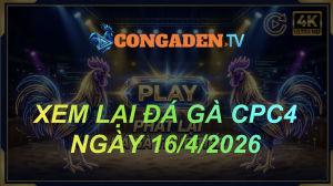 XEM LẠI ĐÁ GÀ CPC4 NGÀY 16/4/26