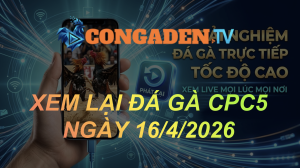 XEM LẠI ĐÁ GÀ CPC5 NGÀY 16/4/26