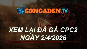 XEM LẠI ĐÁ GÀ CPC2 NGÀY 2/4/26