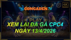 XEM LẠI ĐÁ GÀ CPC4 NGÀY 13/4/26