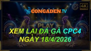 XEM LẠI ĐÁ GÀ CPC4 NGÀY 18/4/26