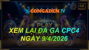 XEM LẠI ĐÁ GÀ CPC4 NGÀY 9/4/26