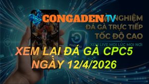 XEM LẠI ĐÁ GÀ CPC5 NGÀY 12/4/26