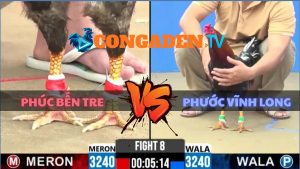 TRẬN 8 CPC2 NGÀY 26/5/2026